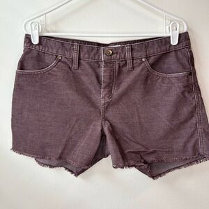 Carve Designs Brown Women's Shorts